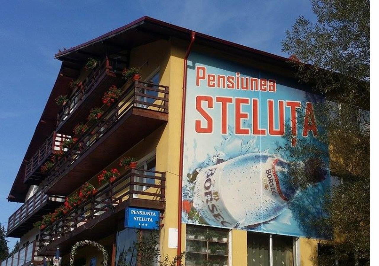 Pensiunea Steluta Predeal Exterior photo